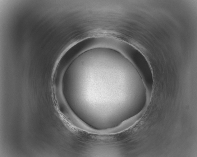 X0000072511152200607290126