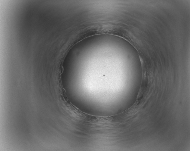 X0000072511153200607290125