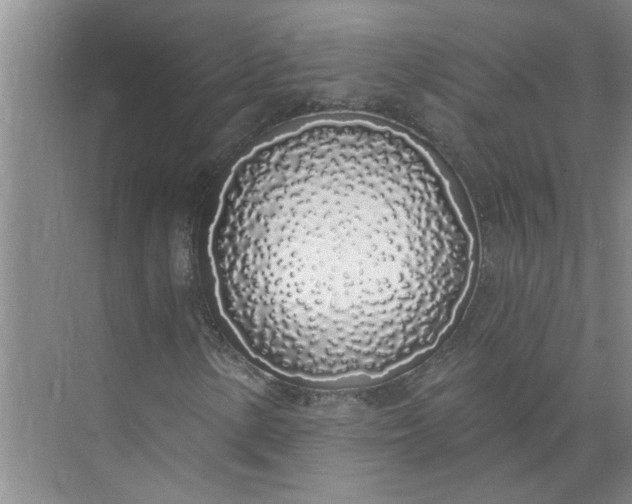 X0000072511154200607290125