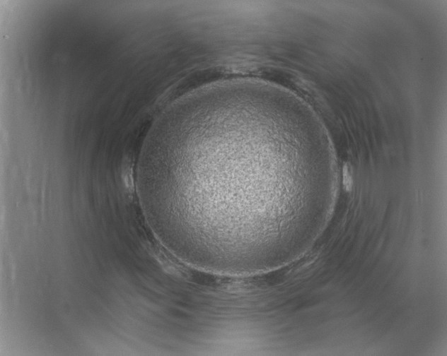 X0000072511155200607290125