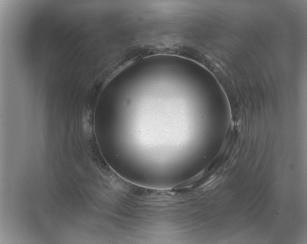 X0000072511156200607290125