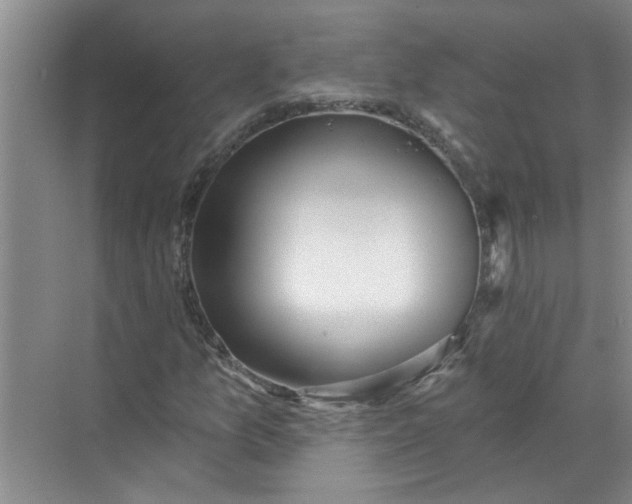 X0000072511157200607290125