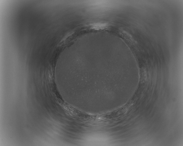 X0000072511158200607290125