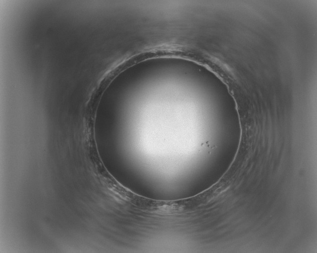 X0000072511160200607290125