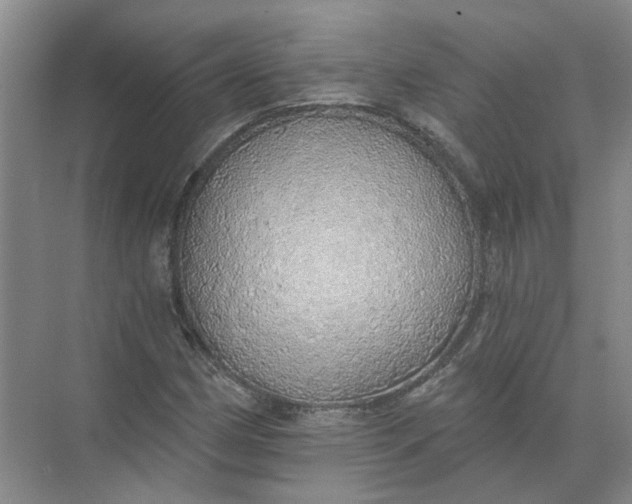 X0000072511162200607290125