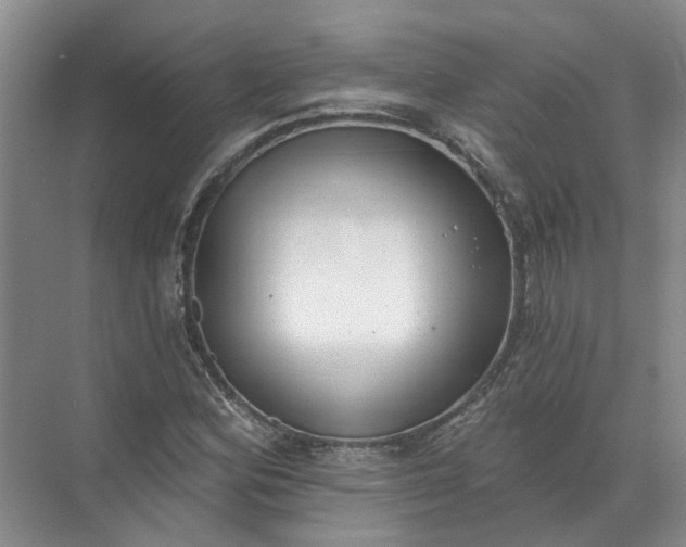 X0000072511164200607290125