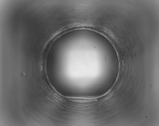 X0000072511165200607290125