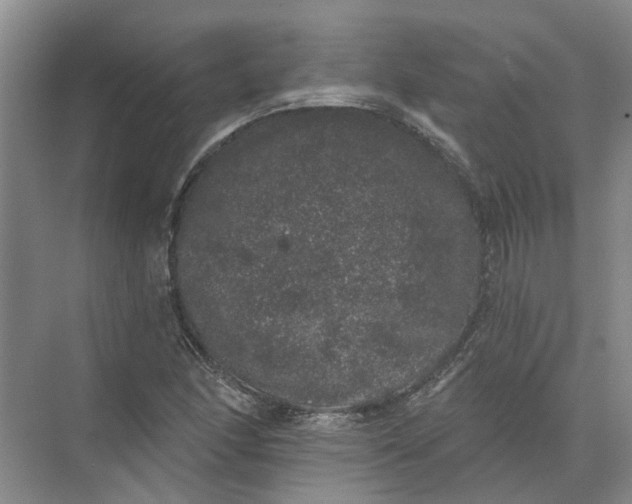 X0000072511166200607290125