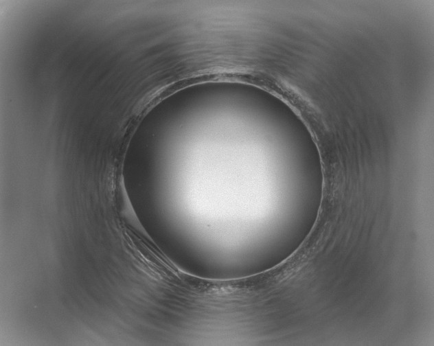 X0000072511169200607290125