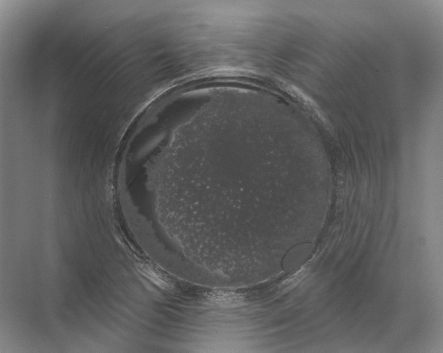 X0000072511170200607290125