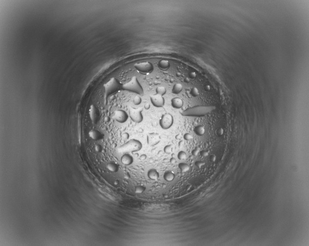 X0000072511171200607290125