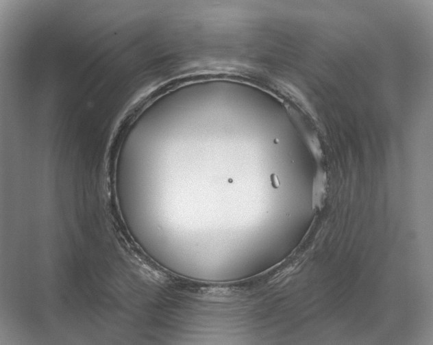 X0000072511172200607290125