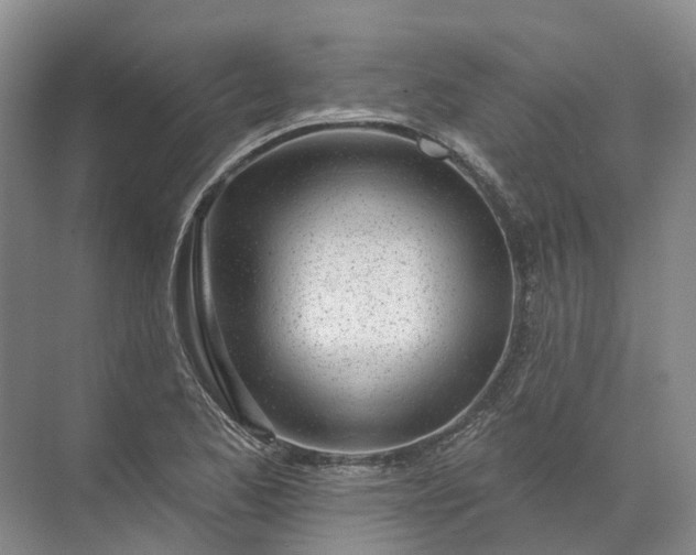 X0000072511173200607290125