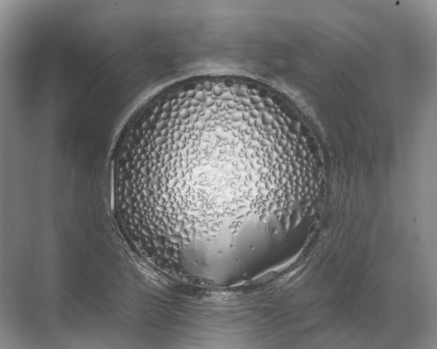 X0000072511175200607290124