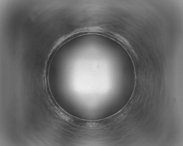 X0000072511176200607290124