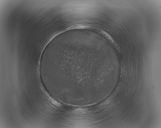 X0000072511178200607290124