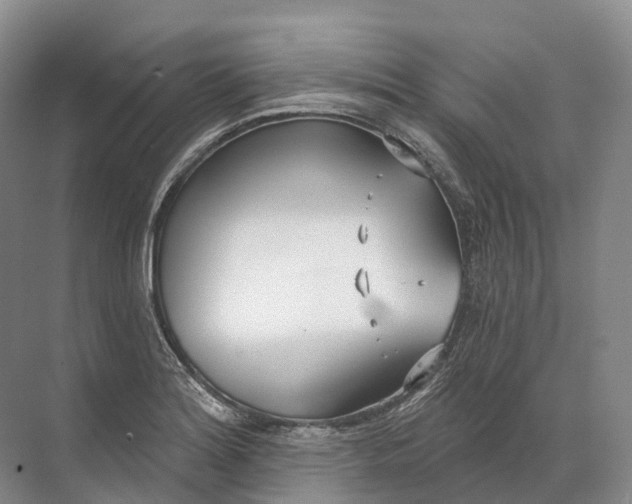 X0000072511180200607290124