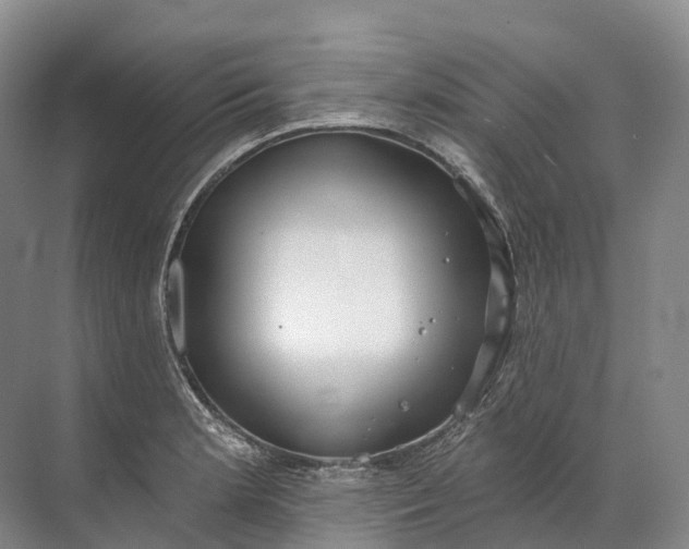 X0000072511181200607290124