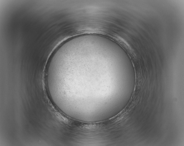 X0000072511182200607290124