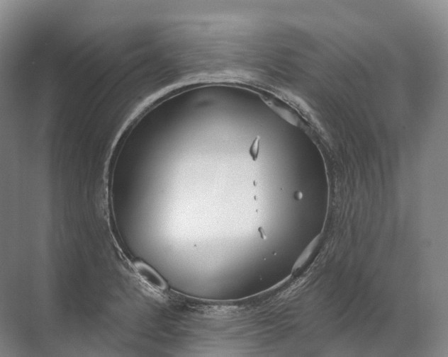 X0000072511184200607290124