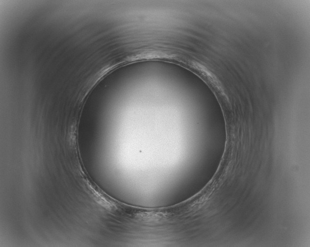 X0000072511185200607290124