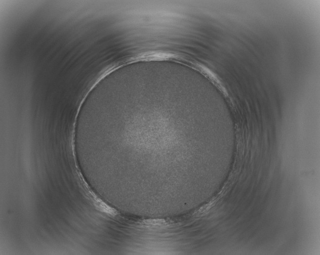 X0000072511186200607290124