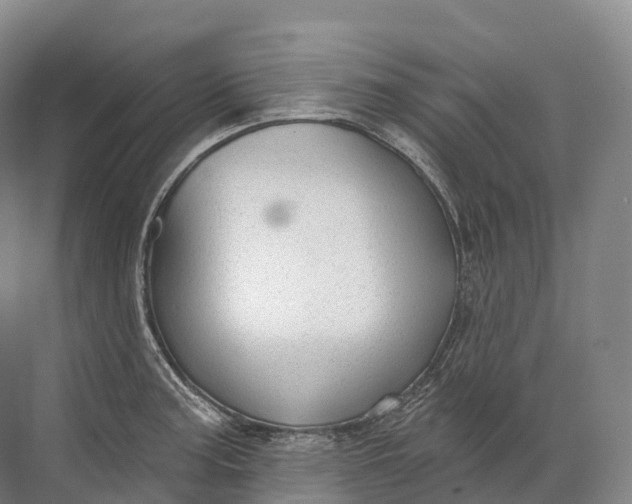 X0000072511187200607290124