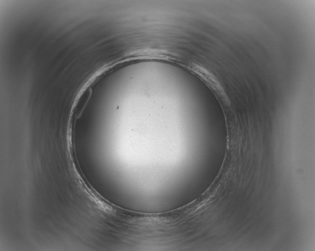 X0000072511188200607290124