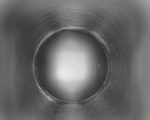 X0000072511189200607290124