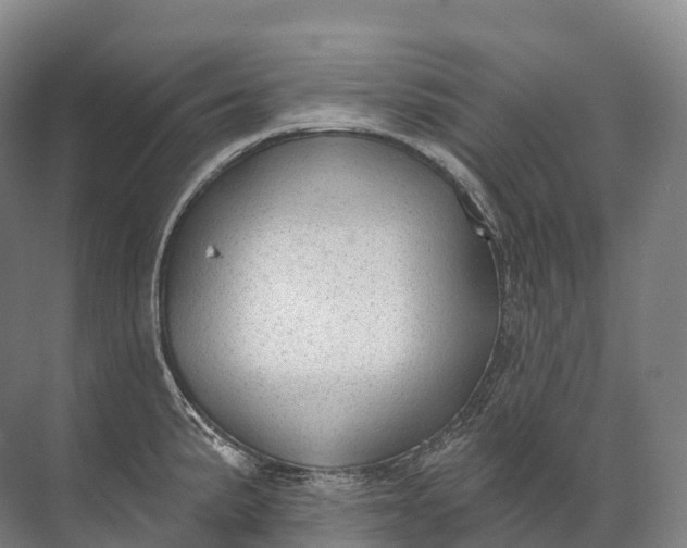 X0000072511191200607290124