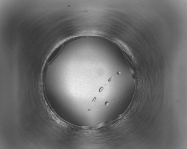 X0000072511192200607290124