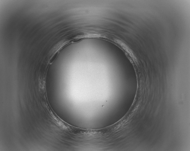 X0000072511193200607290124