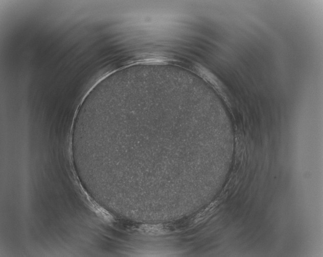 X0000072511194200607290124