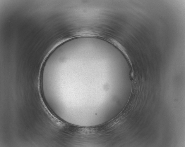 X0000072511195200607290124