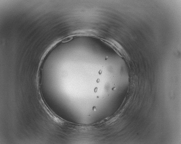 X0000072511196200607290124