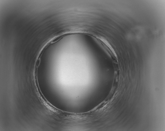 X0000072511197200607290124