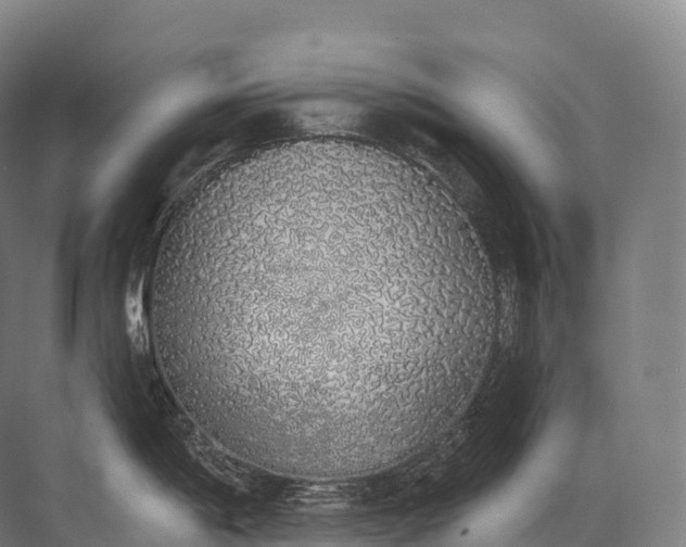 X0000072511198200607290124