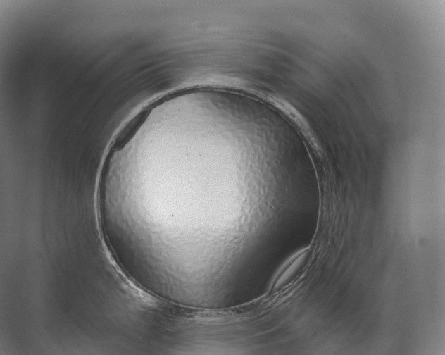 X0000072511199200607290124