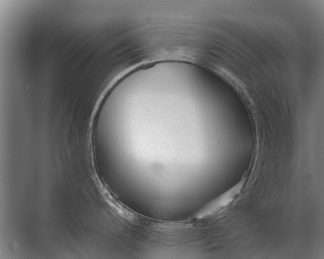 X0000072511200200607290124