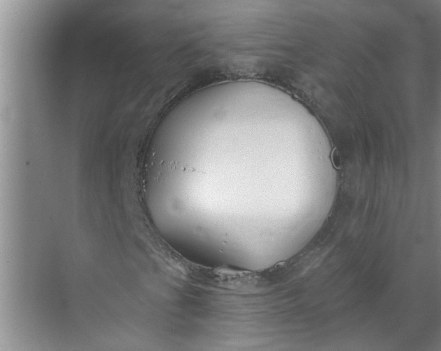 X0000072511201200607290123