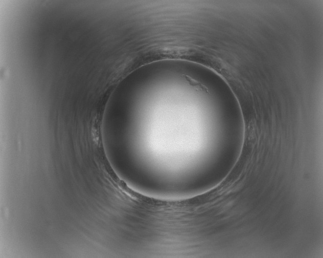 X0000072511202200607290123