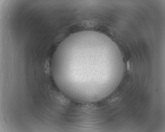 X0000072511203200607290123