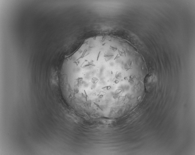 X0000072511204200607290123