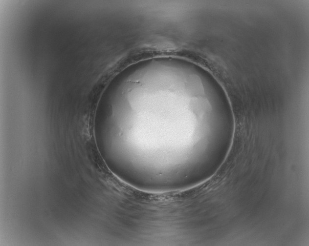 X0000072511205200607290123