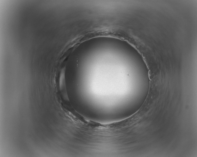 X0000072511206200607290123