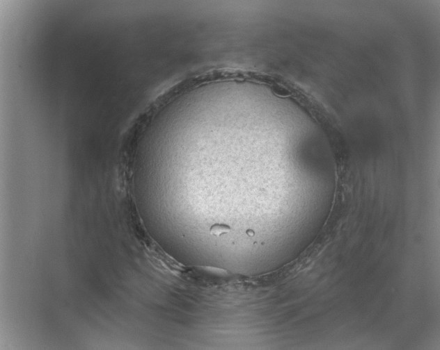 X0000072511207200607290123