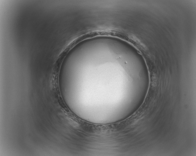 X0000072511208200607290123