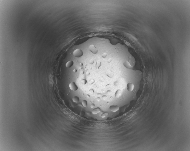 X0000072511209200607290123