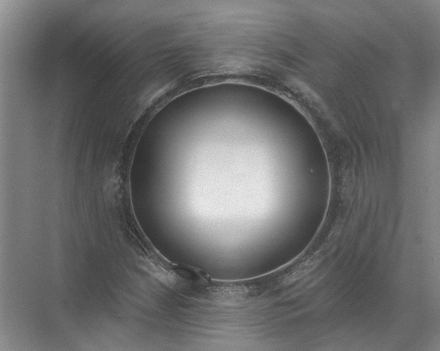 X0000072511210200607290123