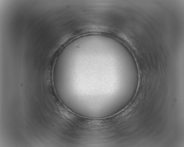 X0000072511211200607290123